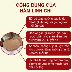 nấm linh chi đỏ