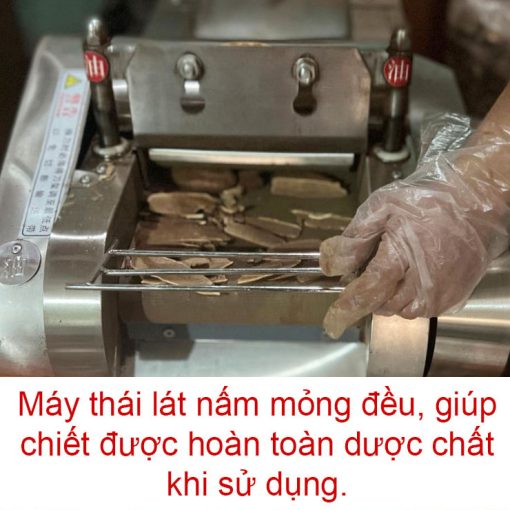 nấm linh chi đỏ