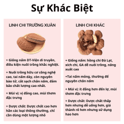 nấm linh chi đỏ