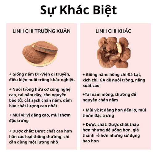 nấm linh chi đỏ